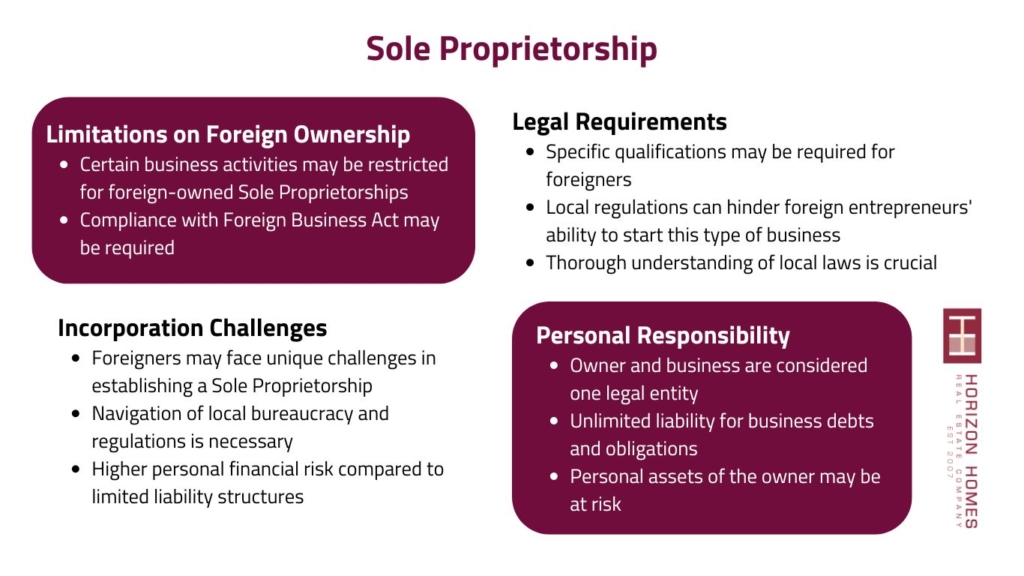 solo proprietorship