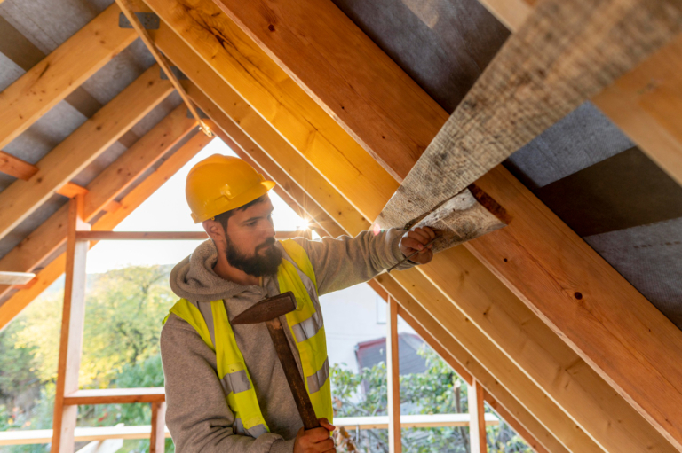 attic inspection