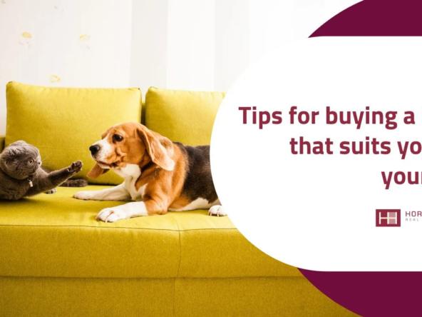 An infographic with a beagle and a grey cat on a yellow couch, promoting tips for buying a home that suits both owners and pets.