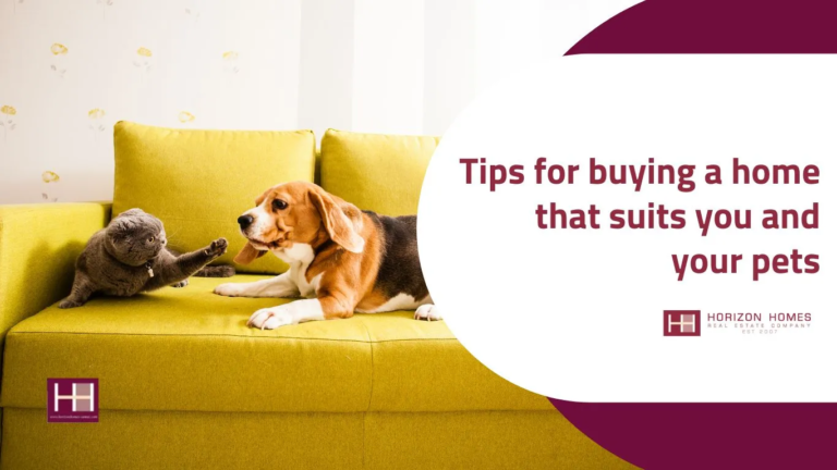 An infographic with a beagle and a grey cat on a yellow couch, promoting tips for buying a home that suits both owners and pets.